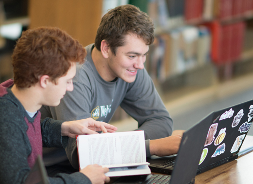 Students studying in the Livingston Library